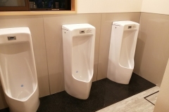 Eko-in-Toilets
