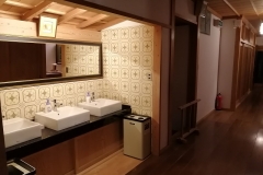 Eko-in-sinks