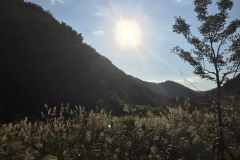 Maruyama-village-autumn2