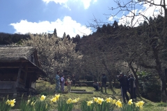 Maruyama-village-spring