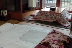 Shojoshin-in-Room