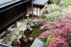Shojoshin-in-View